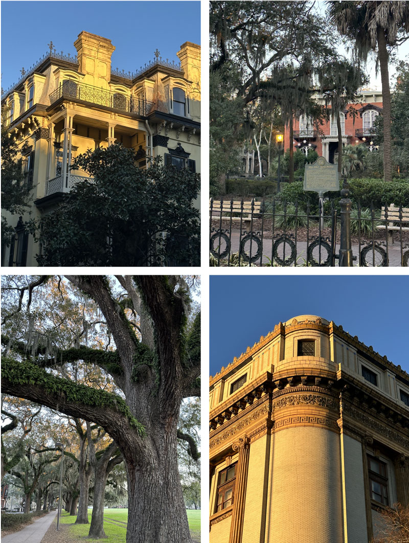 savannah georgia, photos of historic buildings, gentle trees and spanish moss